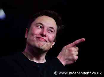 Tesla’s rivals hijack SNL adverts during Elon Musk debut