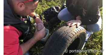 ALERTA: Vigilância em Saúde de Imbituba identifica mais um foco do mosquito Aedes aegypti, o 46º do ano - Portal AHora