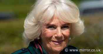 Camilla says she's had 'half a hug' with grandkids after having both jab doses
