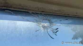 8 people home when two shots entered Confederation Park apartment