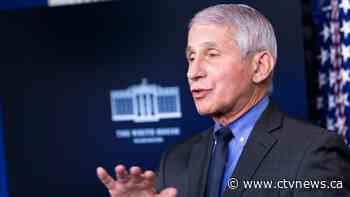 'No doubt' U.S. has undercounted COVID-19 deaths: Fauci - CTV News
