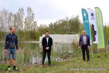 Oud stort wordt nieuwe thuis voor oeverzwaluwen