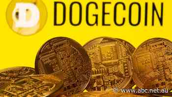 The future of money, or a 'hustle' — what is Dogecoin?