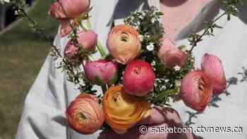 Sold out since Tuesday: Saskatoon florist fills 300 orders for Mother's Day - CTV News Saskatoon