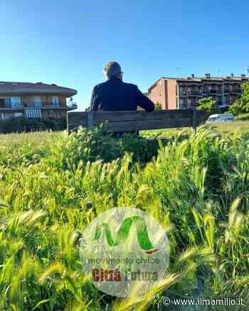 Genzano | Erba alta, le critiche di Città Futura: "Inaccettabile" - ilmamilio.it - L'informazione dei Castelli romani