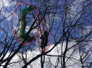 Terrore a Caslino d'Erba, il parapendio si chiude ma il 50enne compie il miracolo e atterra sugli alberi. Nessuna ferita - ComoZero