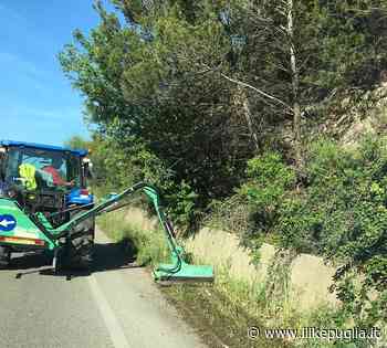 Bari, in corso interventi di taglio dell'erba lungo le strade della Città metropolitana - Ilikepuglia