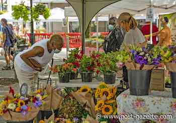 Market Square Farmers Market reopens Thursday