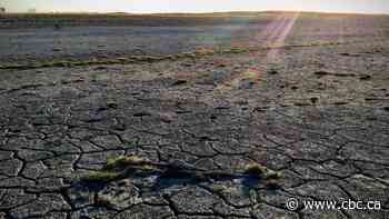 'Extreme' drought in parts of Sask.: Ag Canada