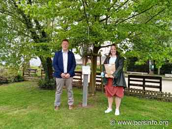 Nieuwe tuttenboom voor de kindjes van Bever - Persinfo.org