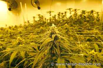 West Virginians can now register for medical cannabis card - Huntington Herald Dispatch