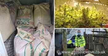 Cannabis farm found in County Durham property after police raid