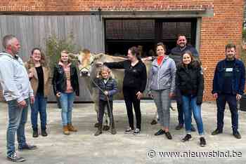Boeren en horecazaken stippelen samen Koetjestocht uit