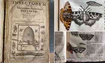 400-YEAR-old butterfly discovered in an ancient Cambridge University library book