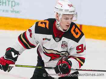 Maple Leafs add another Russian to roster - Owen Sound Sun Times