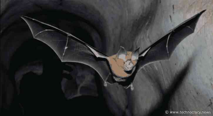 Chinese Military Discussed Weaponizing COVID In 2015 ‘To Cause Enemy’s Medical System To Collapse’