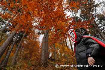 Dracula's castle provides setting for Covid-19 jabs - St Helens Star