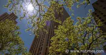 Rough Trade Record Store Has an Unlikely New Home: 30 Rock