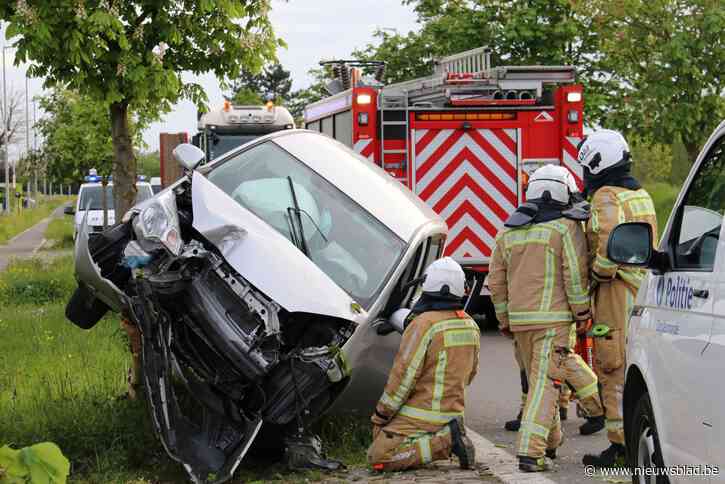 Auto knalt tegen boom langs Eegene<BR />