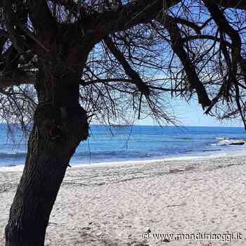 MANDURIA - Il prof. Mario Del Prete: «Senza depuratore, Manduria non potrà mai ricevere la Bandiera Blu» - ManduriaOggi