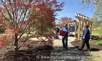 Highland Park’s Remember Garden blossoms