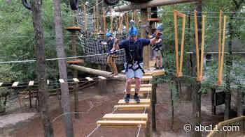 Traveling through the treetops at Texas Treeventures