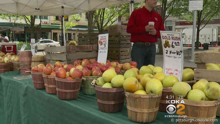 City Releases Farmers Market Schedule For Spring, Summer And Fall