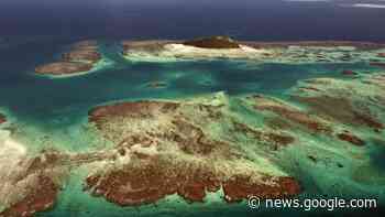 A hidden continent birthed a new subduction zone near New Zealand - Livescience.com