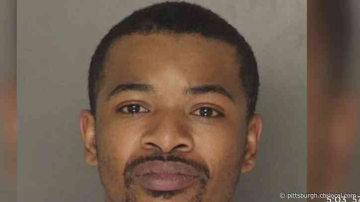 Pittsburgh Man Charged With 28 Counts After Wild Crime Spree Throughout City