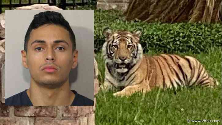Man who escaped with pet tiger is out on bond for murder in Fort Bend County, Houston police say - KHOU.com
