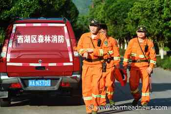 Leopard on the loose in China after escaping from safari park - Barrhead News