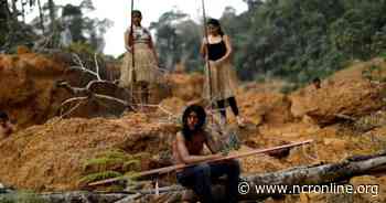 Amazon bishops say bill threatens Brazil's Indigenous peoples and forest - National Catholic Reporter