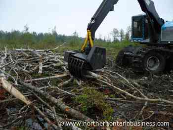 Ontario seeks to grow forest biomass sector - Northern Ontario Business