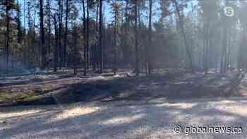 Piney Reeve on blaze in Sandilands Provincial Forest | Watch News Videos Online - Globalnews.ca