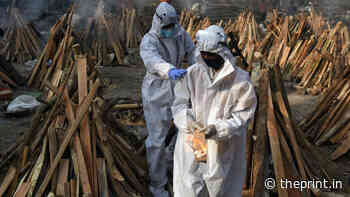 Haryana’s crematoria need more wood, so govt allows forest dept to continue tree-felling - ThePrint