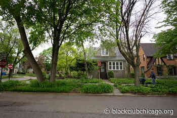 Forest Glen Neighbors Raised Money To Save Area Ash Trees, But City's Urban Canopy Is Still At Risk - Block Club Chicago