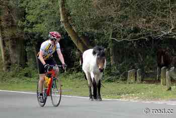 New Forest sportive cancelled after Forestry England threatens legal action - road.cc