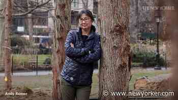 Maya Lin’s Ghost Forest in the Shadow of Shake Shack - The New Yorker