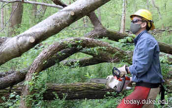 A Duke Workday: Preserving Duke Forest for Teaching and Research - Duke Today