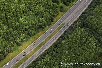 Forest vs. Highway: The eternal Canadian battle - HalifaxToday.ca