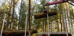 Study Shows BC's Forest Industry Has Big Economic Impact - Business Examiner