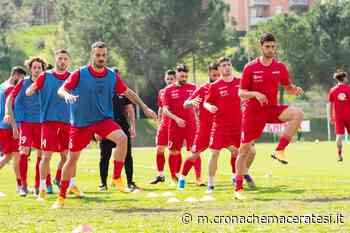 Matelica nella tana del Grifone «Una partita da Davide contro Golia» - Cronache Maceratesi