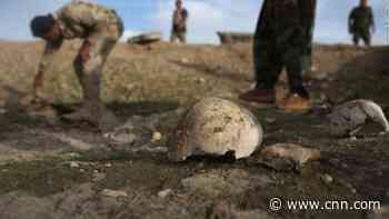 UN team calls Yazidi massacre a genocide