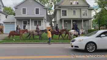 'A Horse's Friend' brings joy to city kids amid spike in violence