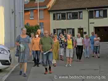 Bürgerversammlung im Internet - Steinen - Badische Zeitung