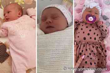 Here come the girls! Meet 5 new lockdown babies from York
