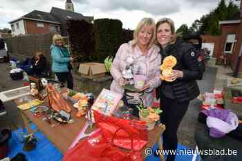 Feest- en rommelmarkt in oktober vervangt dit jaar Pinksterjaarmarkt - Het Nieuwsblad