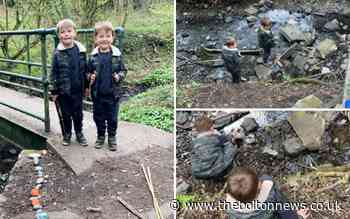 Two Bolton boys rescue stone snake thrown into stream - The Bolton News