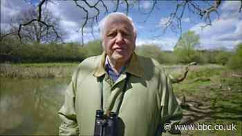 Sir David Attenborough: Problems that await greater than the epidemic