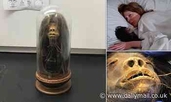 History: Bizarre shrunken HEAD used as a film prop is confirmed as a real 'ceremonial tsantsa'